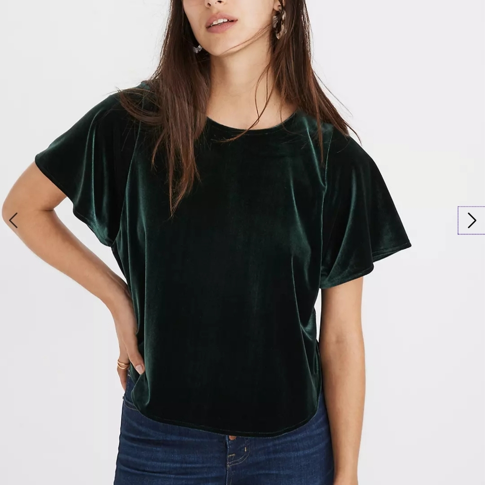 Madewell Blue Velvet Butterfly Top